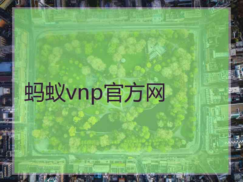 蚂蚁vnp官方网