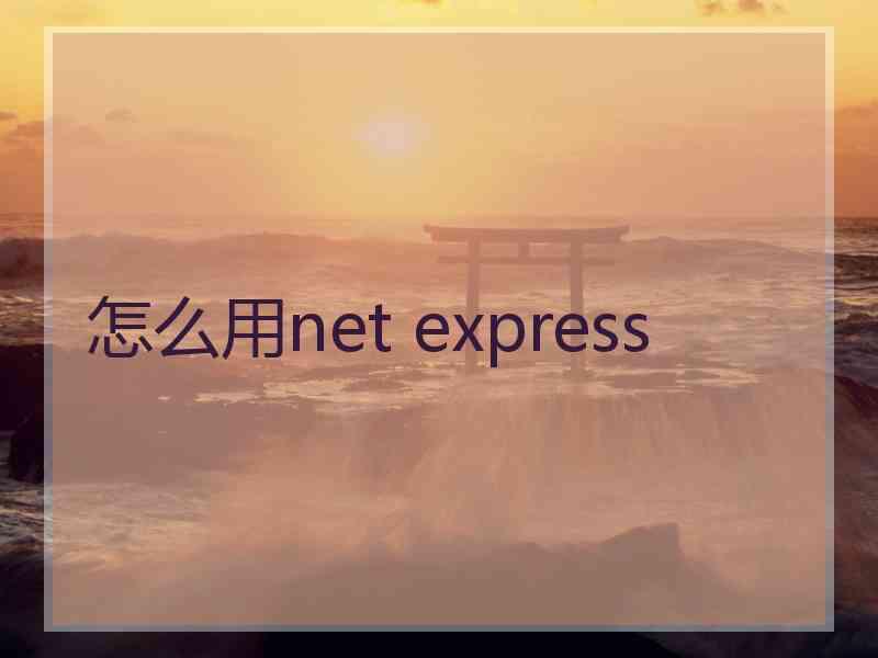 怎么用net express