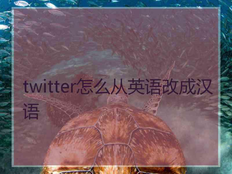 twitter怎么从英语改成汉语