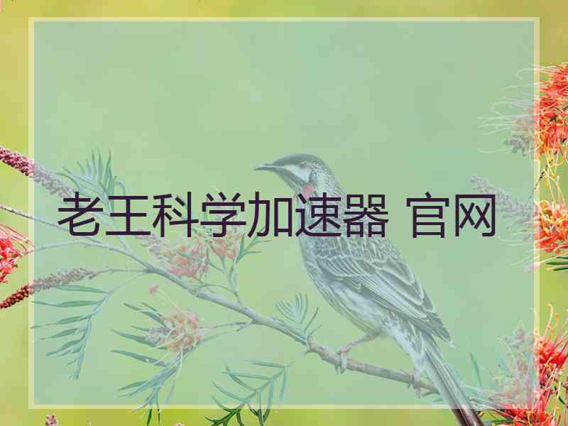 老王科学加速器 官网