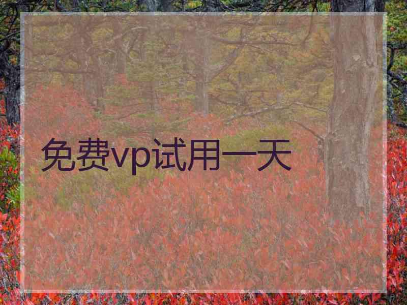 免费vp试用一天