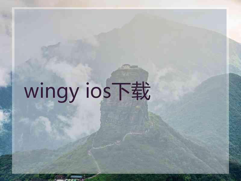 wingy ios下载