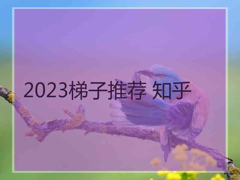 2023梯子推荐 知乎