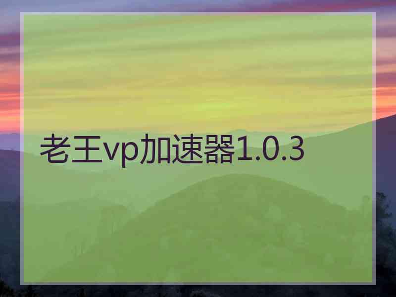 老王vp加速器1.0.3