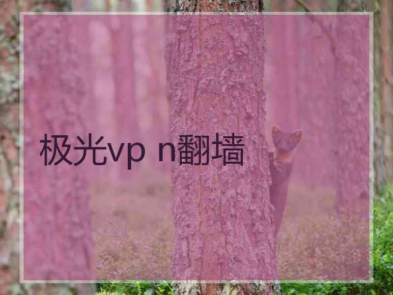 极光vp n翻墙