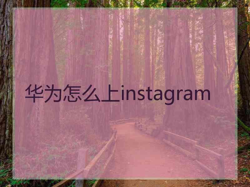 华为怎么上instagram