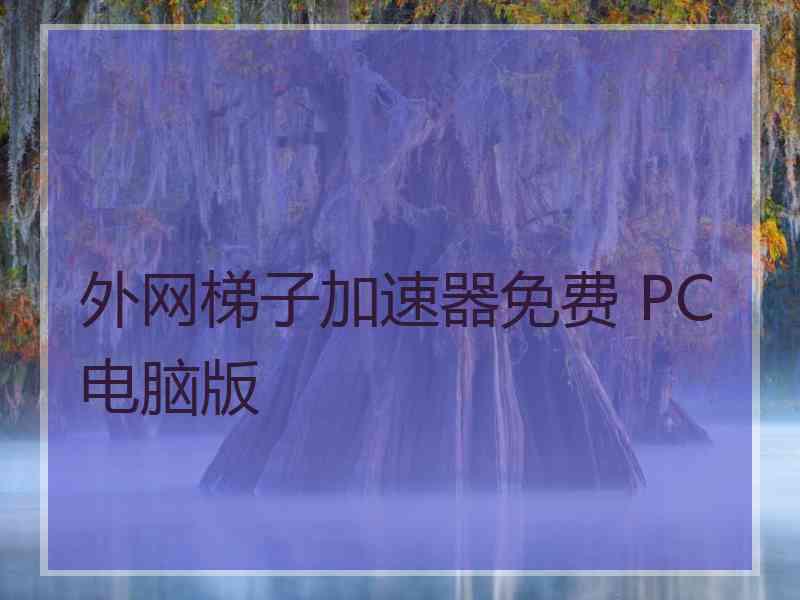 外网梯子加速器免费 PC电脑版