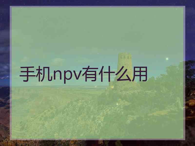 手机npv有什么用