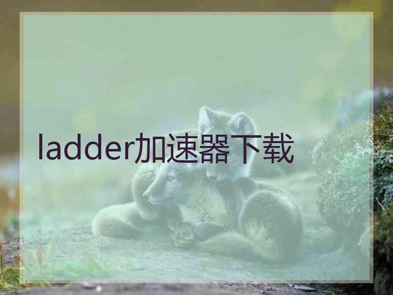 ladder加速器下载