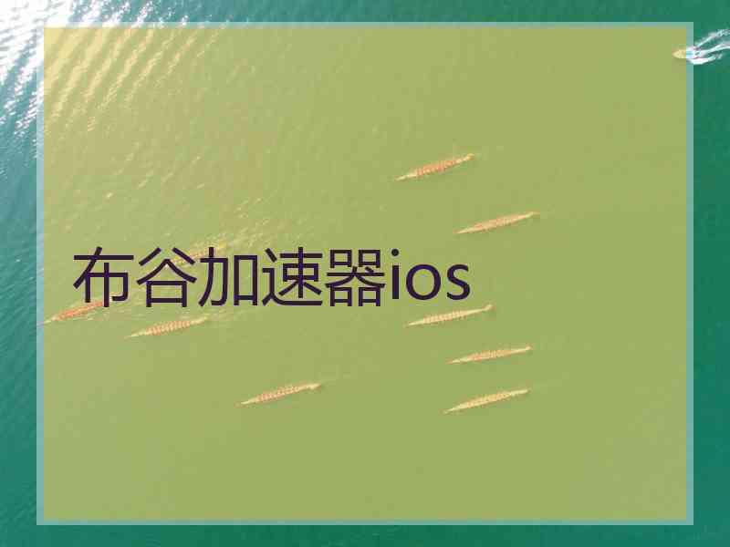 布谷加速器ios