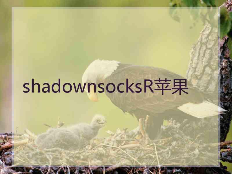 shadownsocksR苹果