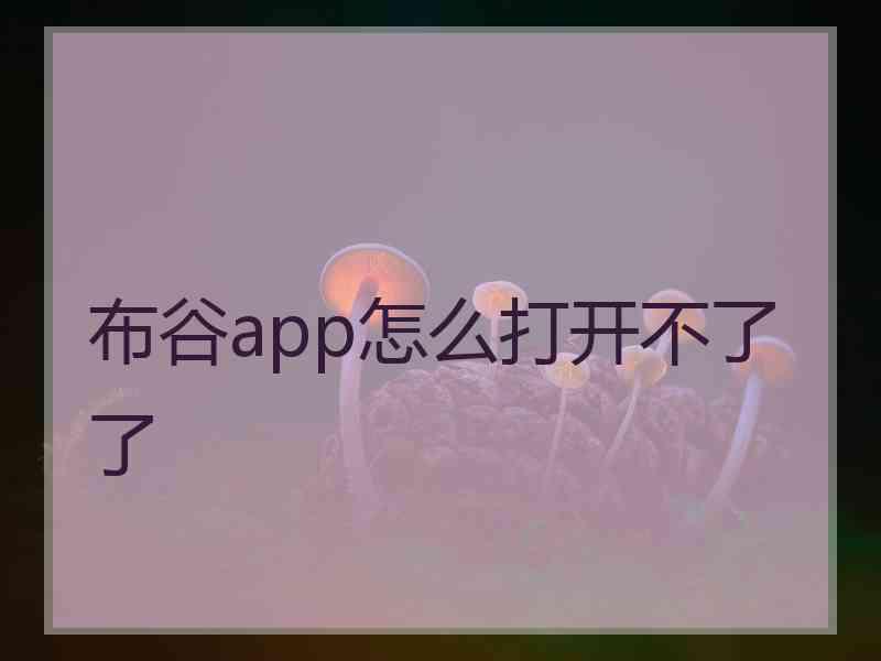 布谷app怎么打开不了了