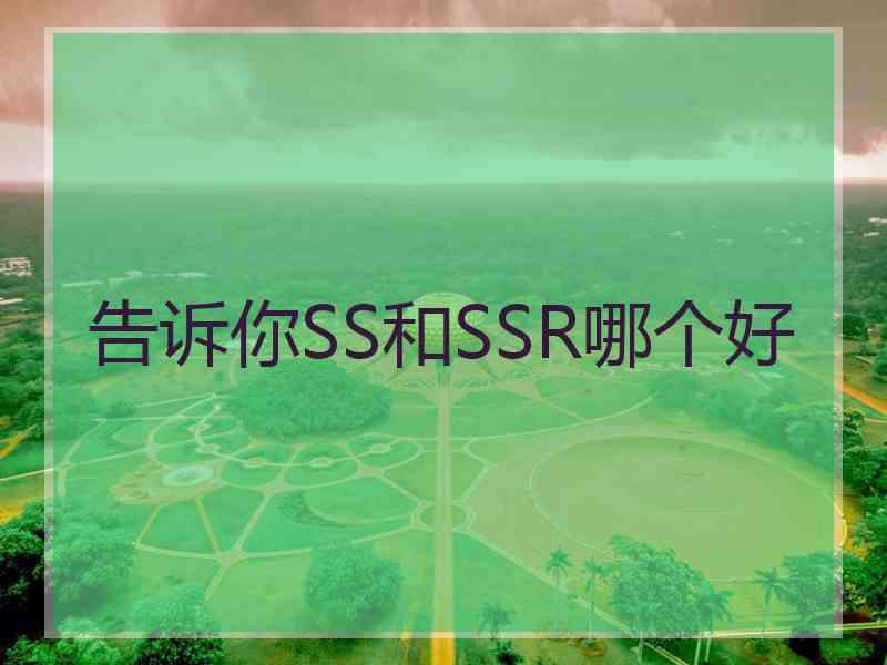 告诉你SS和SSR哪个好