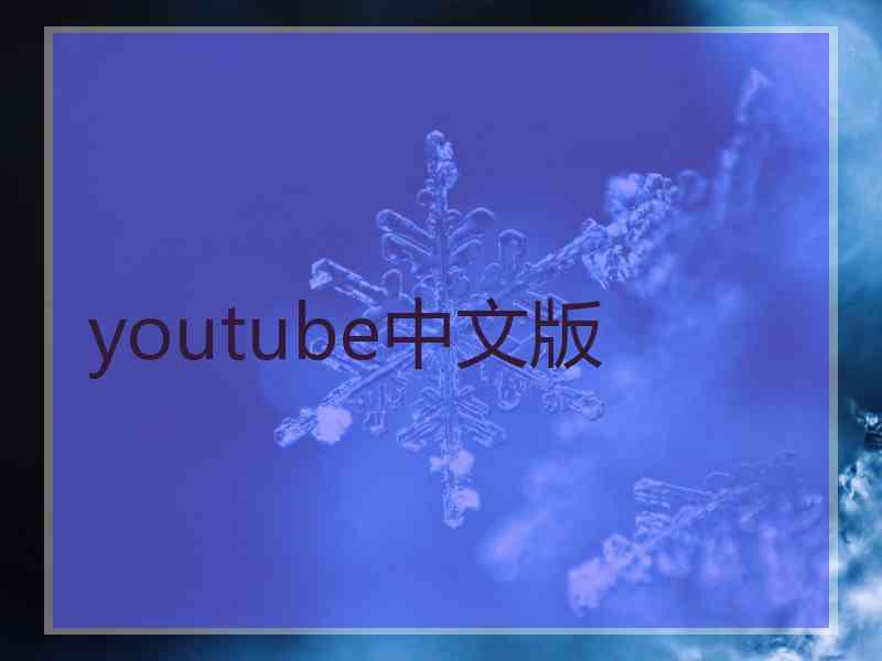 youtube中文版