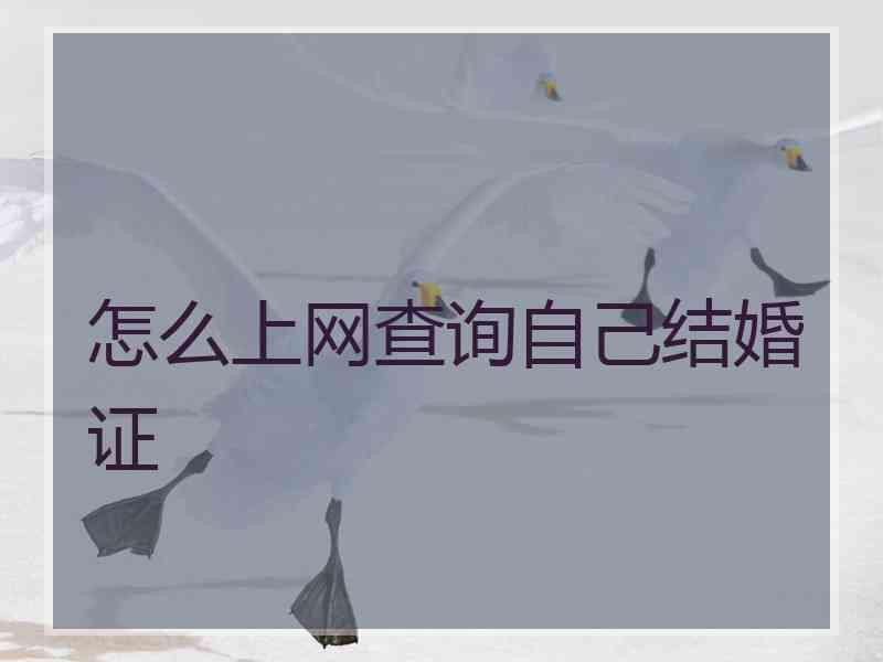 怎么上网查询自己结婚证
