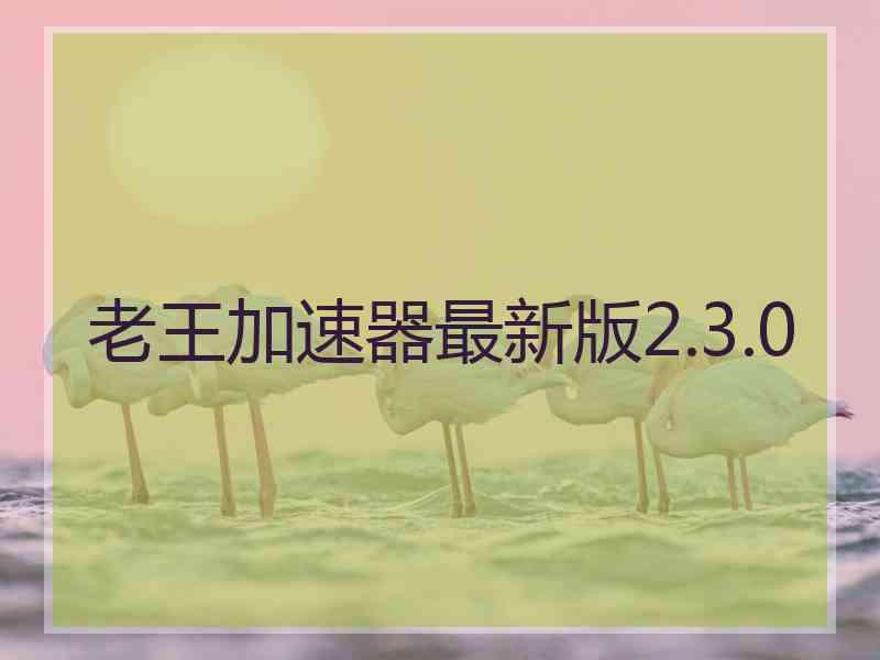 老王加速器最新版2.3.0