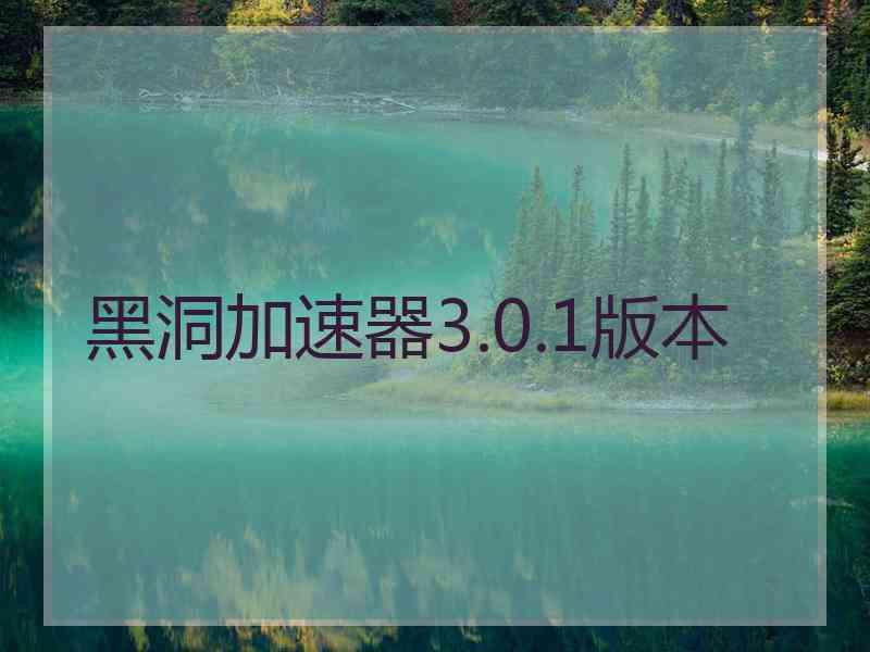 黑洞加速器3.0.1版本