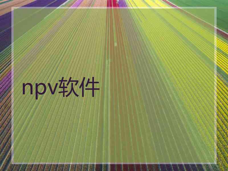 npv软件