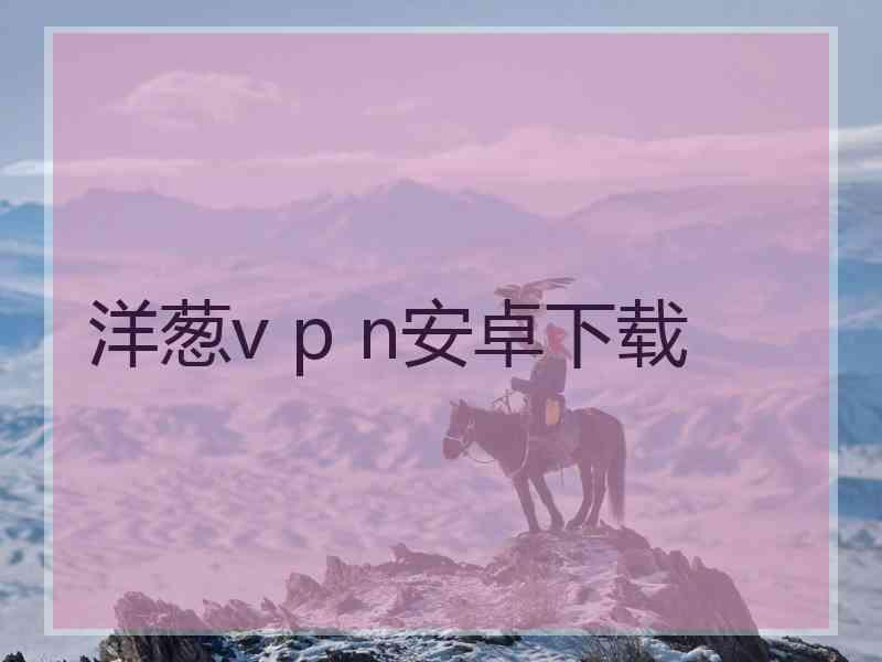 洋葱v p n安卓下载