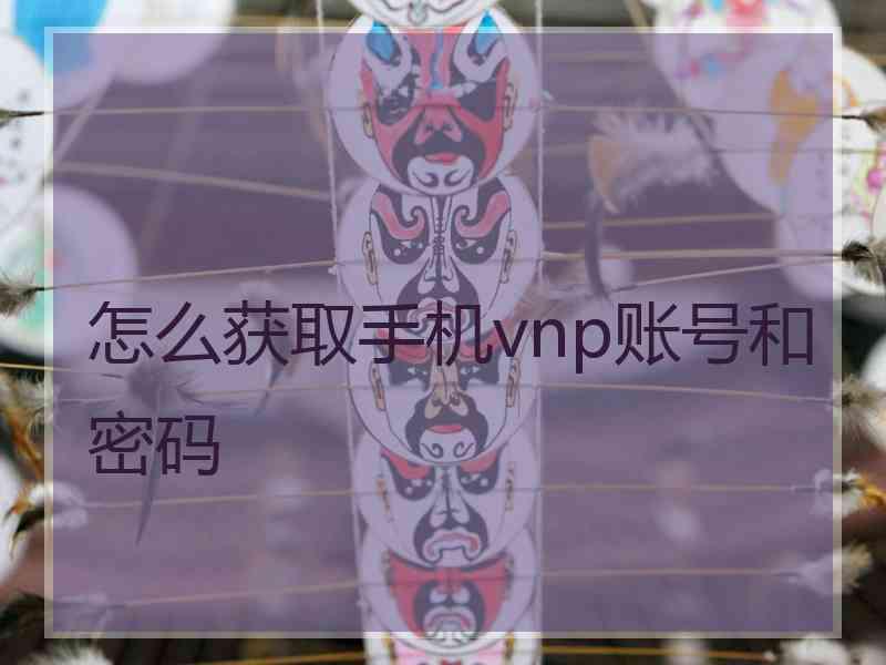 怎么获取手机vnp账号和密码