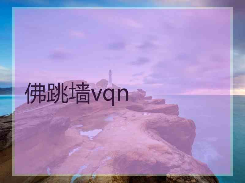 佛跳墙vqn