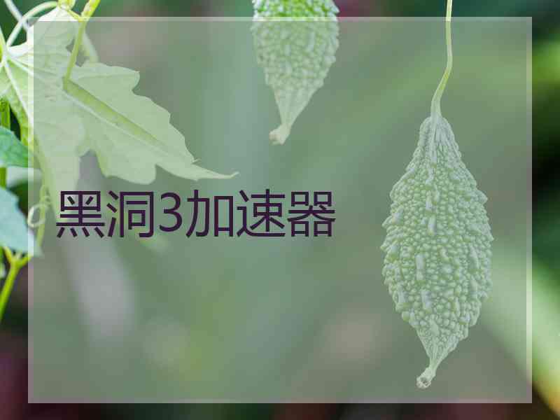 黑洞3加速器