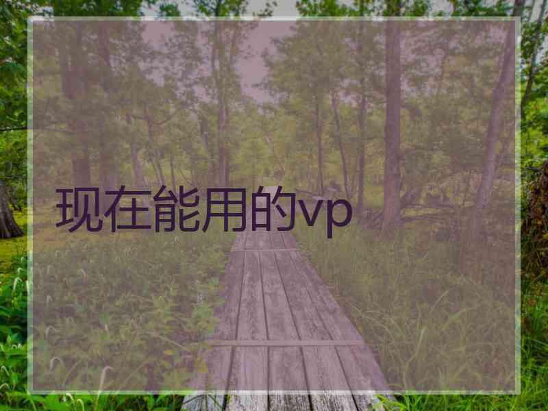 现在能用的vp