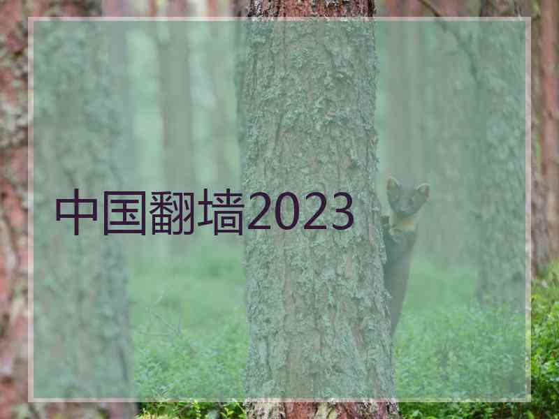 中国翻墙2023