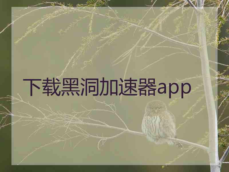 下载黑洞加速器app