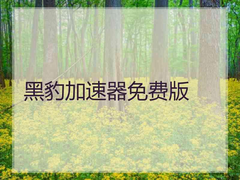 黑豹加速器免费版