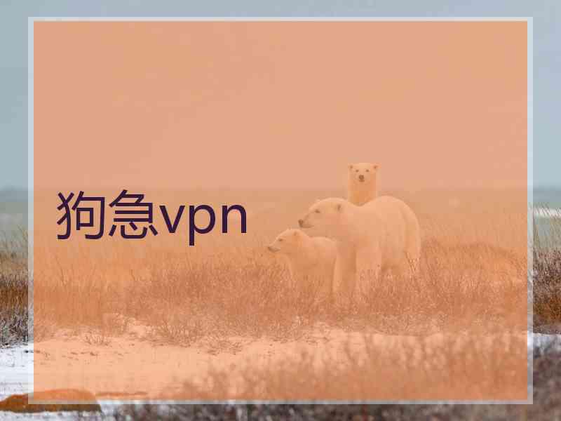 狗急vpn