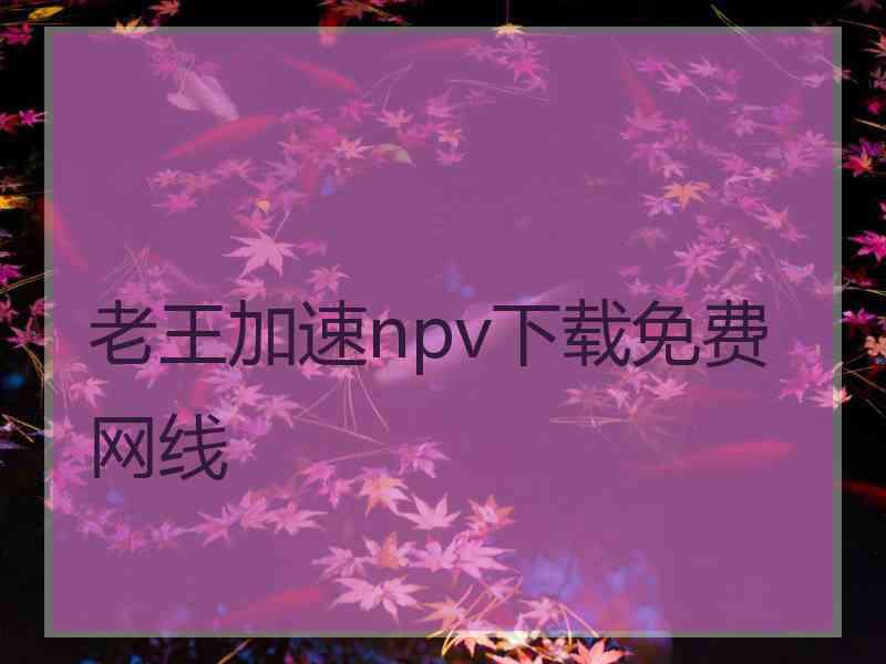 老王加速npv下载免费网线