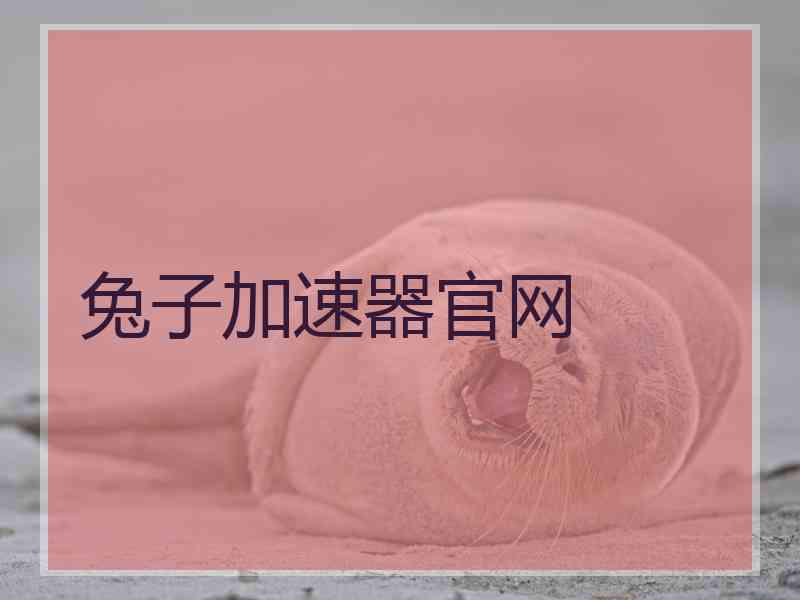 兔子加速器官网