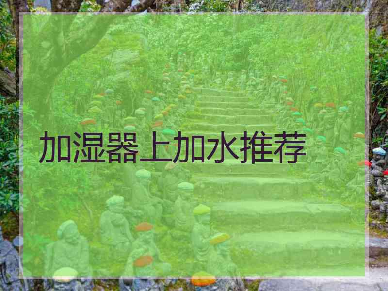 加湿器上加水推荐