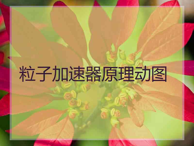 粒子加速器原理动图