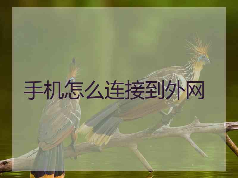 手机怎么连接到外网