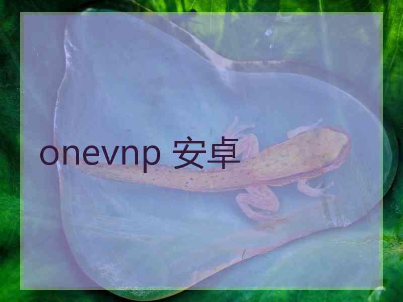 onevnp 安卓