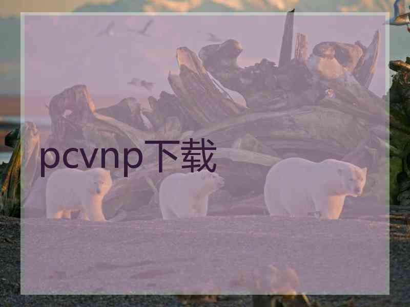 pcvnp下载