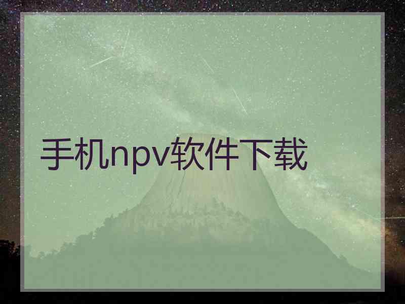 手机npv软件下载