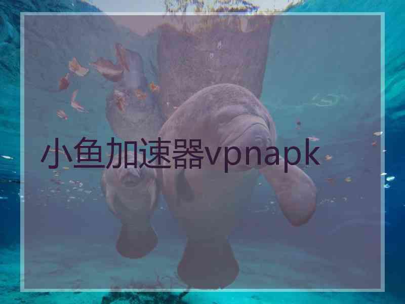 小鱼加速器vpnapk