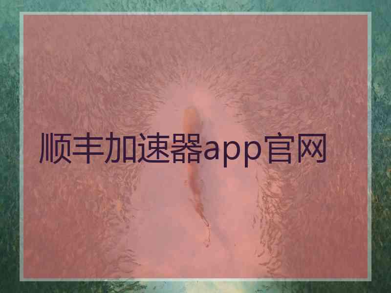 顺丰加速器app官网