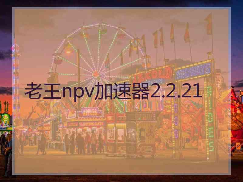 老王npv加速器2.2.21