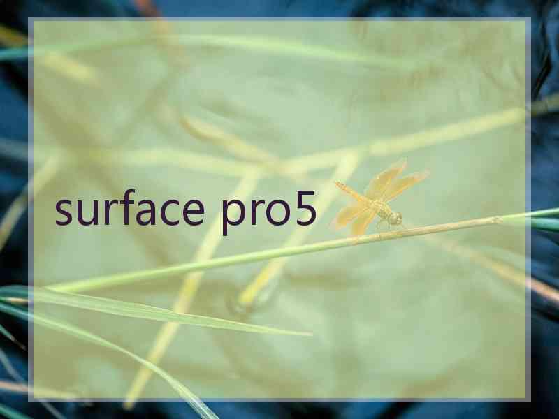 surface pro5