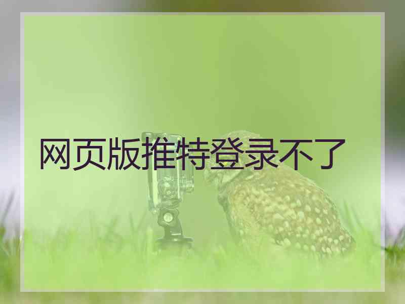 网页版推特登录不了