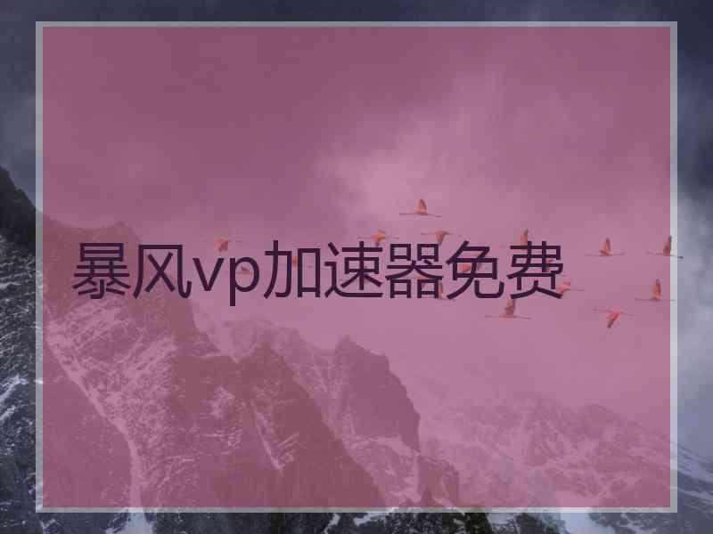 暴风vp加速器免费