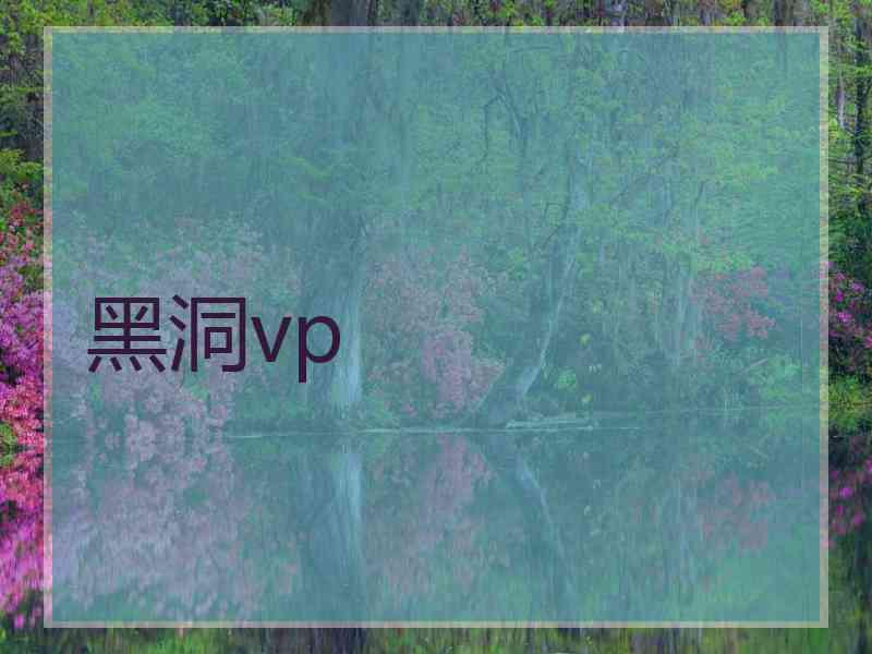 黑洞vp