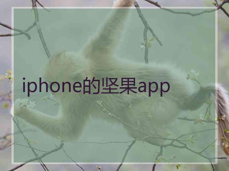 iphone的坚果app