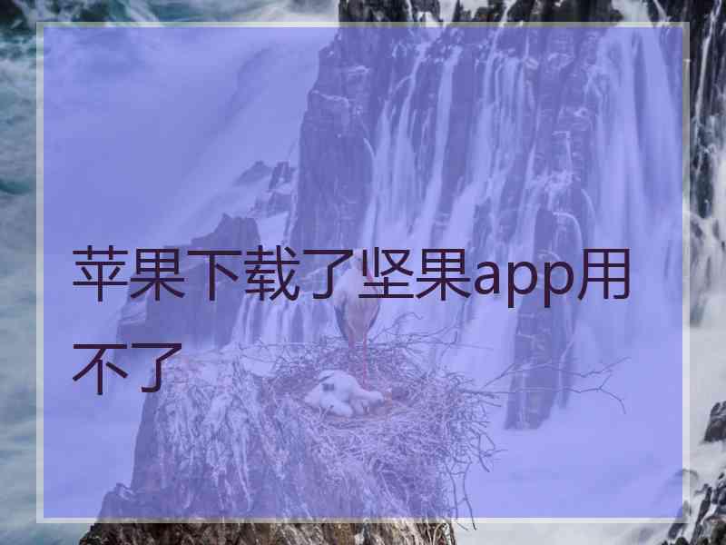 苹果下载了坚果app用不了