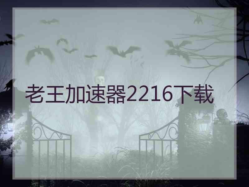 老王加速器2216下载