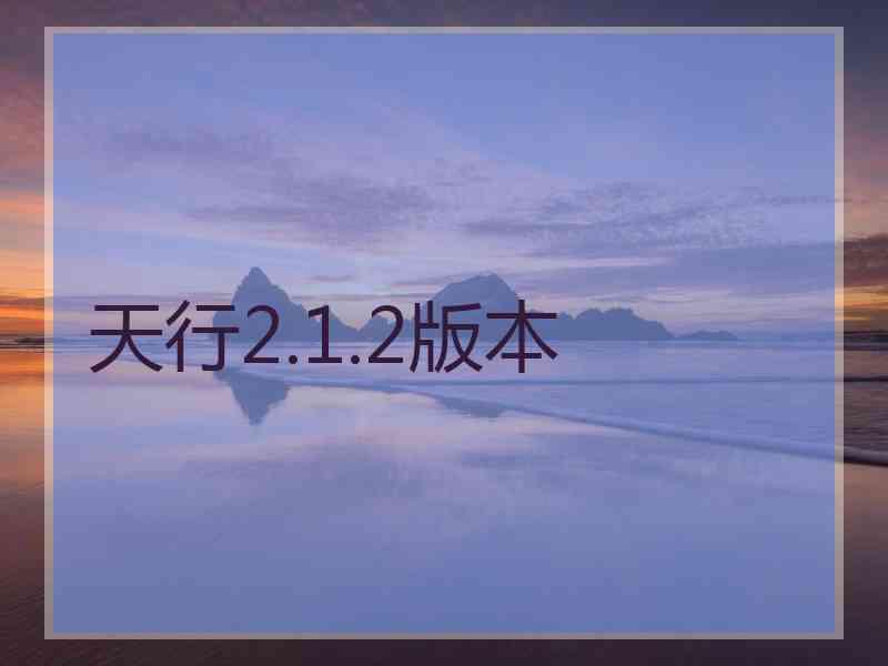 天行2.1.2版本